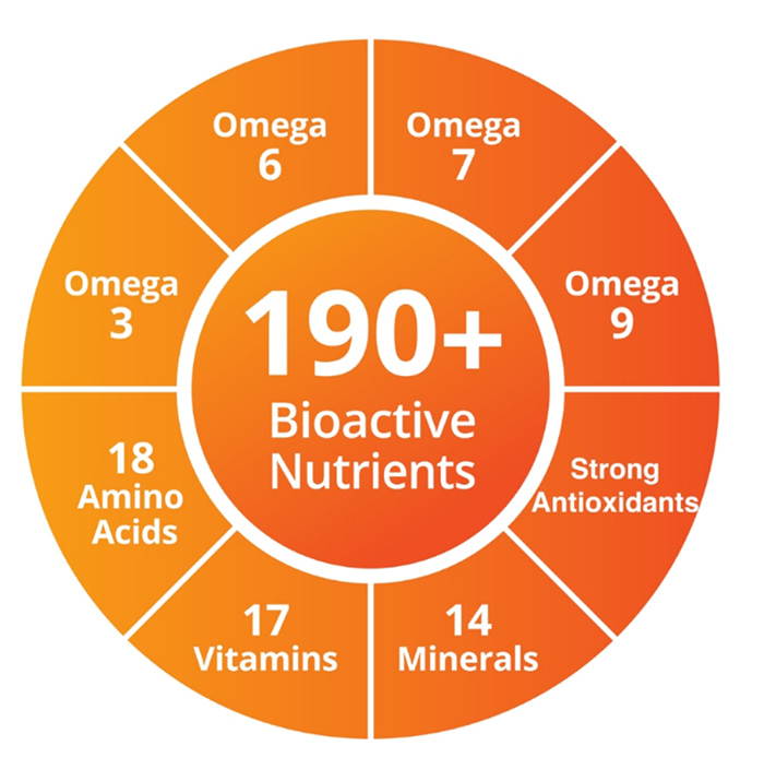 1685947034419805.jpg 图六.jpg