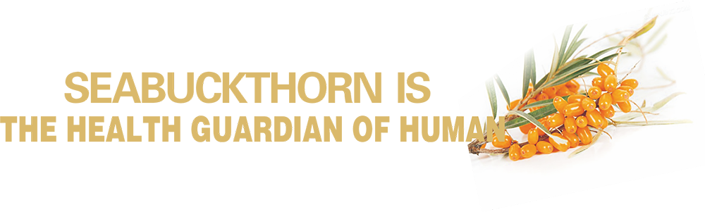 1691650823210536.png 3.png