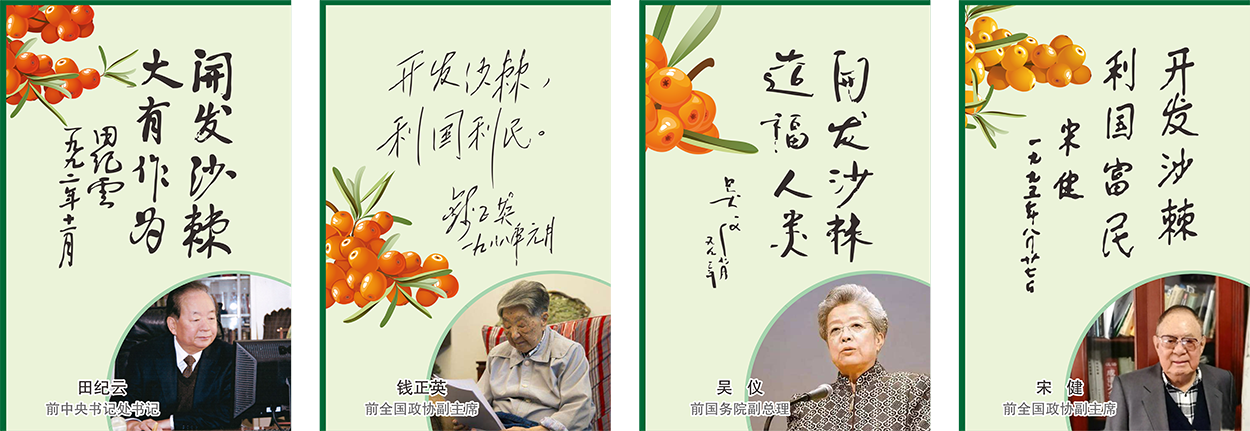 1691651154964390.png 06.png