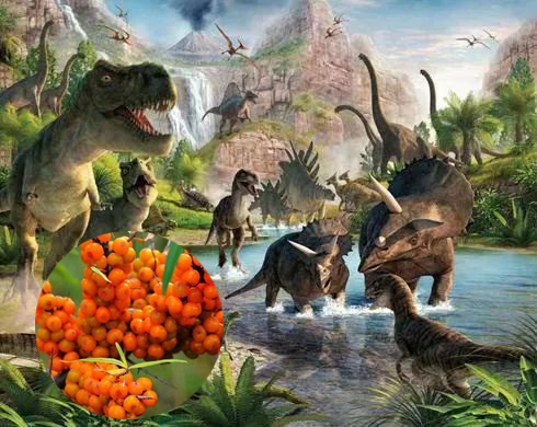 1709524617487323.jpg 微信图片_20240304104848.jpg